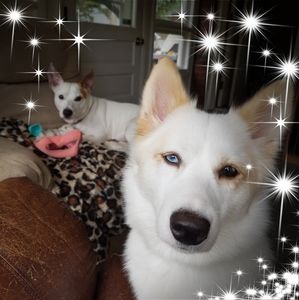 Meet your Posher, Donna